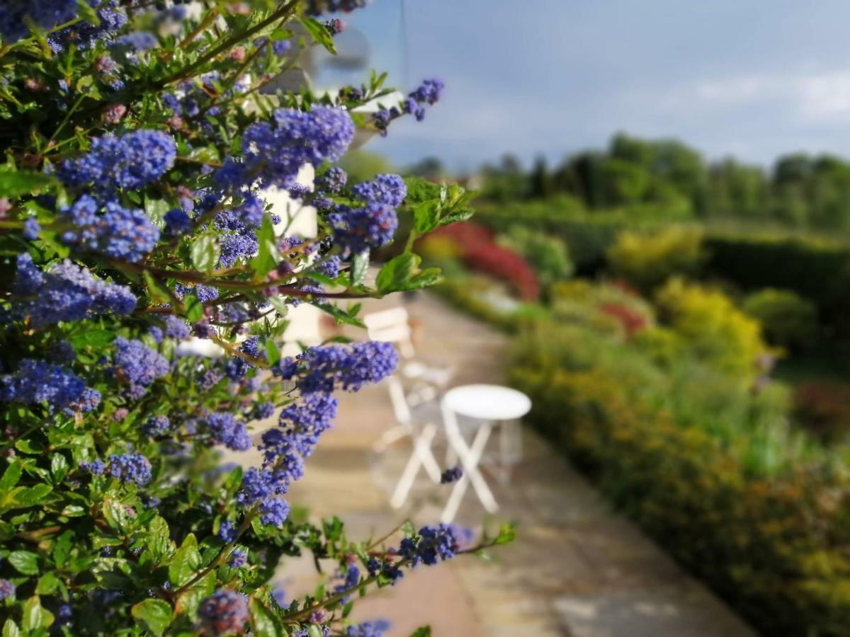 Meadow Cottage Bed & Breakfast Хокхерст Экстерьер фото