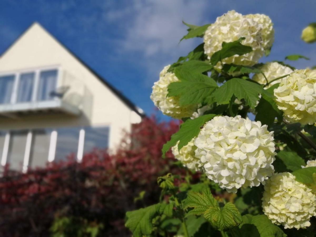 Meadow Cottage Bed & Breakfast Хокхерст Экстерьер фото